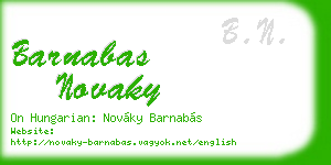 barnabas novaky business card