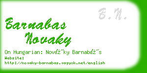 barnabas novaky business card